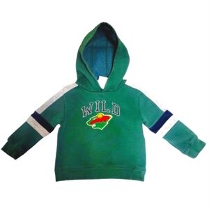 NHL Hockey Minnesota Wild Officially Licensed Kids Hoodie Sweatshirt Boys 18m